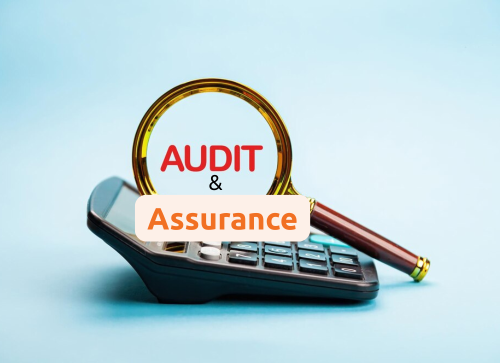 Audit & Assurance